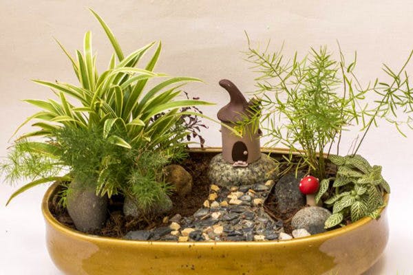 Art of Miniature Gardening