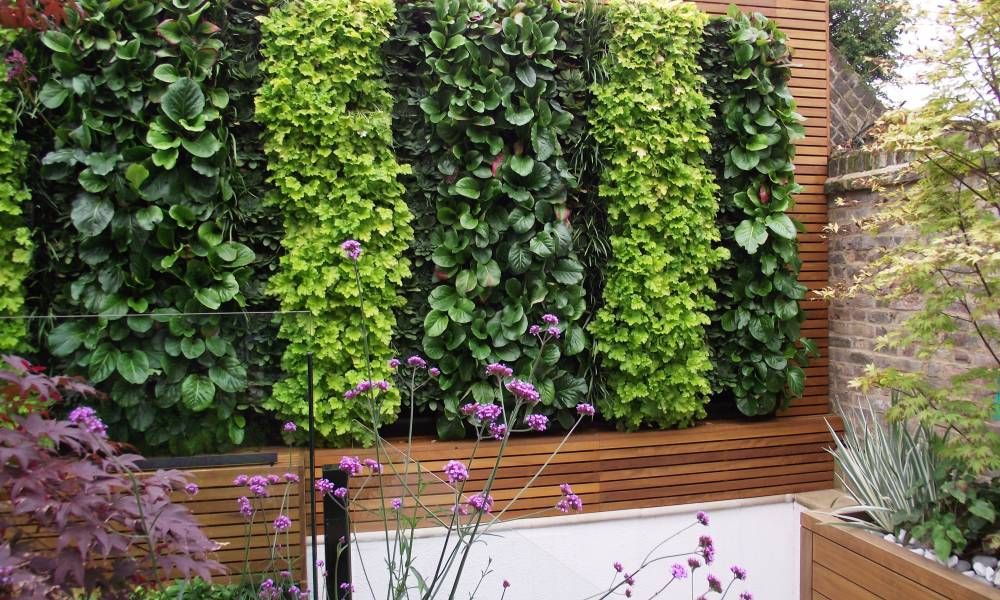 Vertical and Wall Gardening