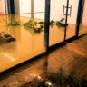 Flood-Restoration-Services