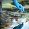 Pond Maintenance