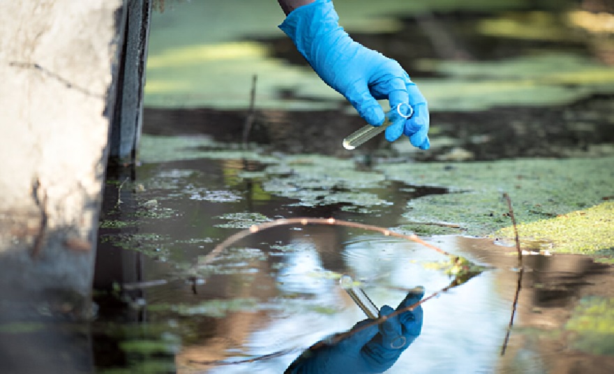 Pond Maintenance